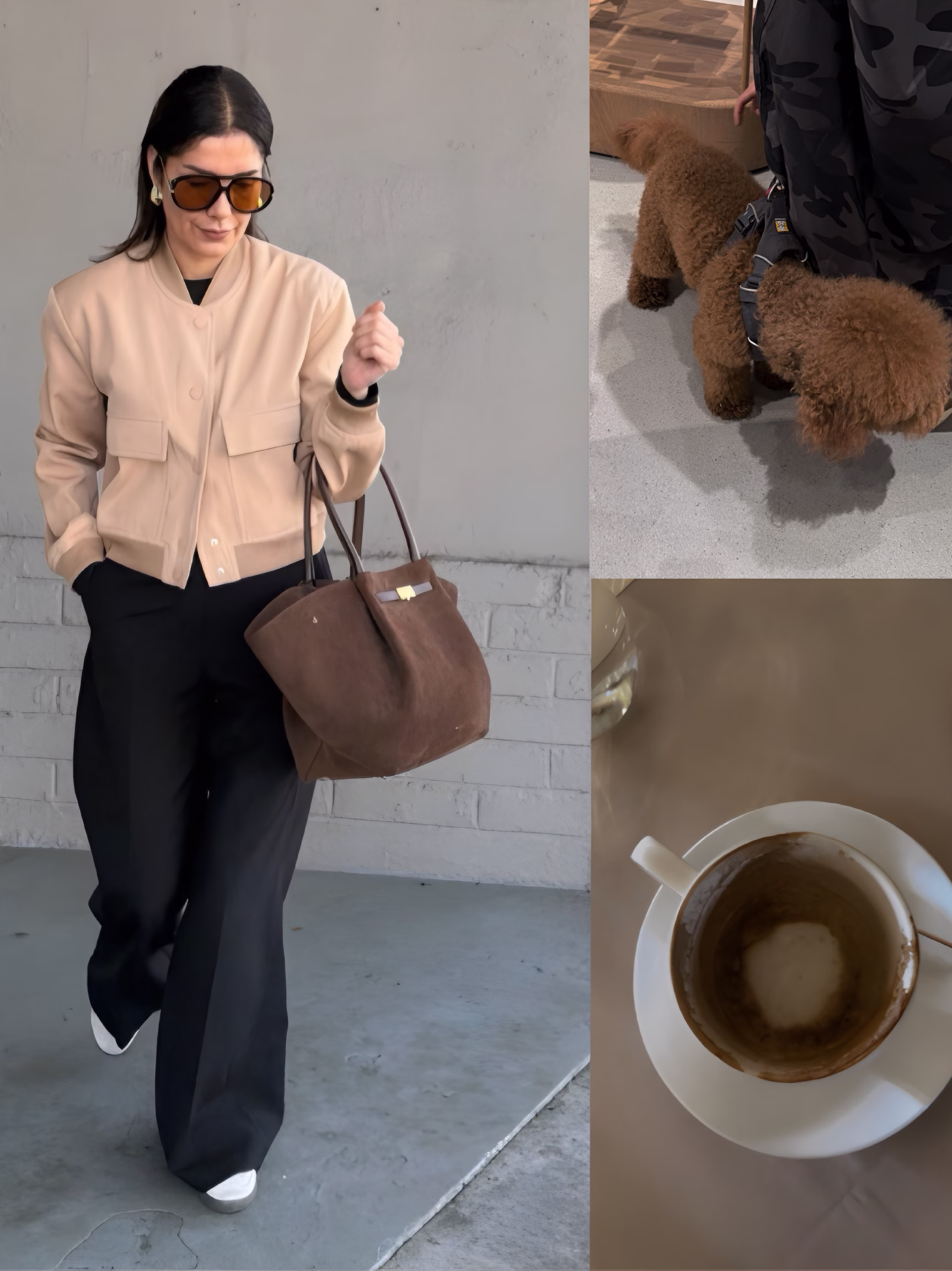 Demellier New York Brown Suede Tote bag Review